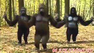 Al Sana 14 Şubat _ Yıldız Tilbe ☆.. ❥(◡‿◡✿)