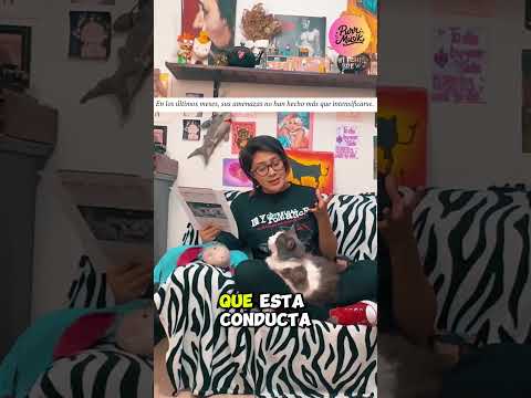 ¡Arrestan a exguitarrista de Turnstile por atropellar a papá del vocal!