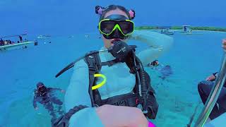 ACEBEAM D30 5600流明 1454米 專業潛水手電筒 強大聚焦 增強穿透性 長續航 深海探索 防水耐腐蝕 #電筒王