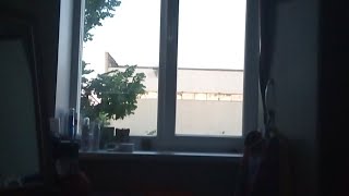 Примета когда воробей клюет в окно