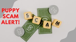 TIPS ON HOW TO AVOID THE PUPPY SCAMMERS!!! | Dog Breeder Recommended