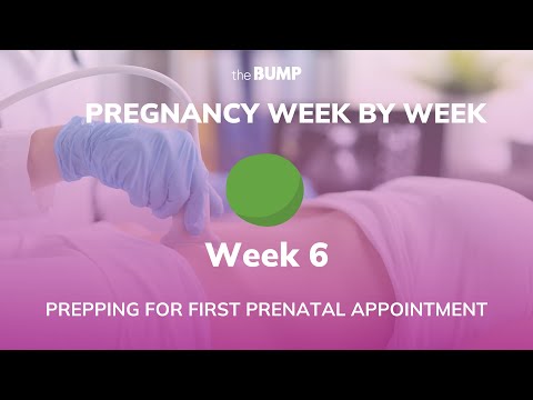 Pregnancy Week 6 | Prepping for First Prenatal Appointment | Pregnancy Week By Week