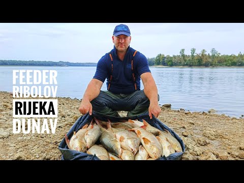 FEEDER RIBOLOV MRENE RIJEKA- DUNAV-DALJ HRVATSKA AMIR TALETOVIC #pecanje #feeder #haldorado