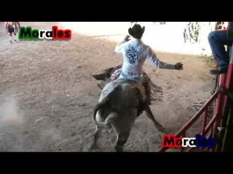 Toby 1 de Iguala, Gro. vs El Ramagacha