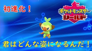 【ポケモンシールド】初進化！どんな姿になるのか！　♯6