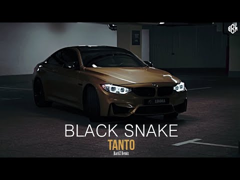 Tanto, BartiZ - Black Snake (BartiZ Remix 2022)