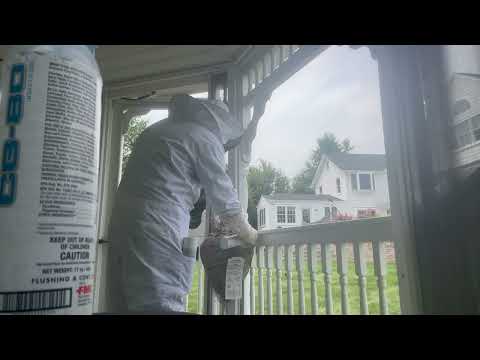 Gigantic Bald-Faced Hornet Nest on Gazebo in...