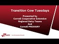 Transition Cow Management-Calving Considerations