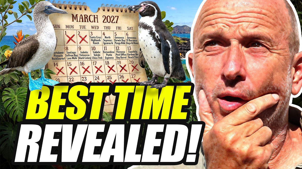 Watch Paul McFarling explain the different seasons and the best time to visit the Galápagos.