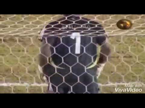 Vincent Enyeama🔥🔥