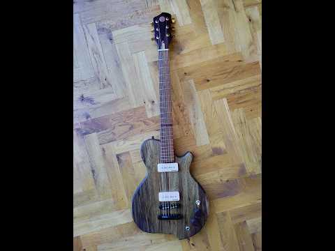 Shepherd Ardingly – Handmade UK Electric Guitar – Black Limba – Dual P90 – One-Off image 7