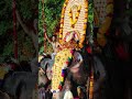 LALOOR BHAGAVATI ENTRY ON Thrissur Pooram Thrissur Kerala Pooram Temple Elephant