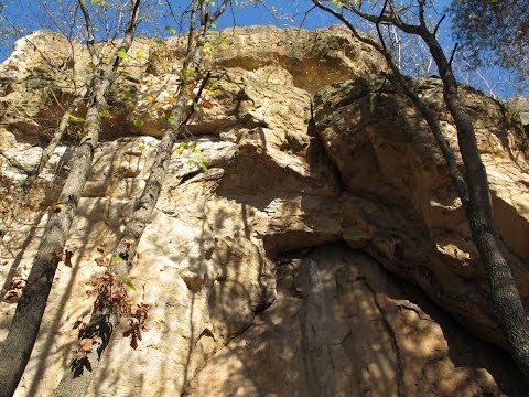 Marele Zid surducano-cristoltelean. Avena Zmeilor