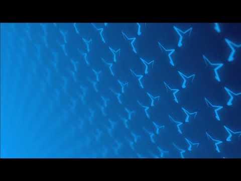 Pokaraet feat. Niki Four & Arkein - Heartbreaks