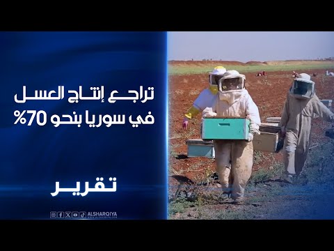 فيديو | تراجع انتاج العسل في سوريا بنحو 70%.. الجفاف والحرائق يتسببان بإنهاء العمل في مئات حقول تربية النحل
