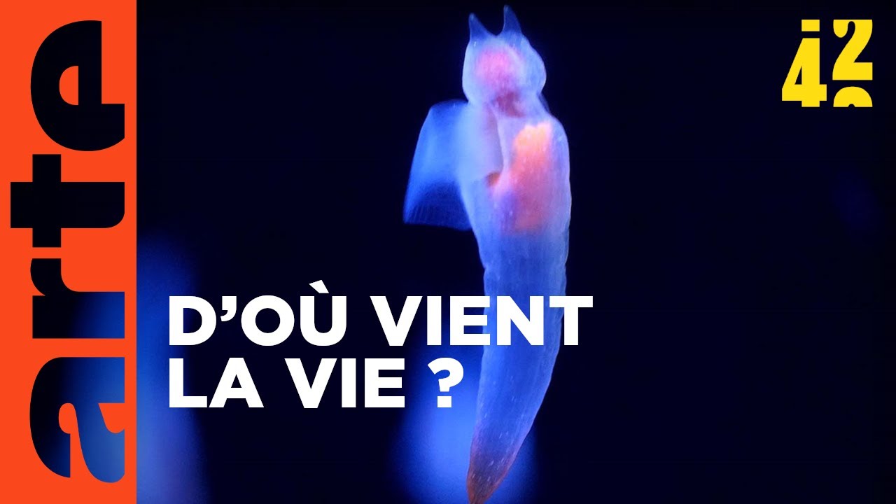 Quelle est l'origine de la vie ? | 42 - La réponse à presque tout | ARTE