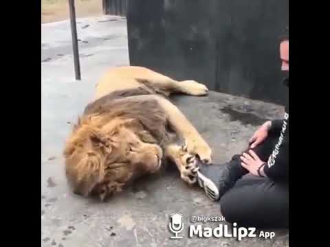 download lagu mp3 mp4 Zajebiste Buty, download mp3 Zajebiste Buty free downloadn, video klip Zajebiste Buty