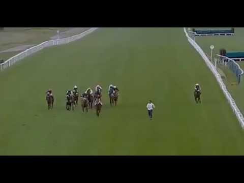 Man Runs onto Track During Horse Race