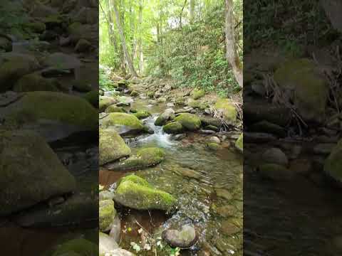 Gorgeous Waterfall and Stream- Only 5 minutes from cabin!