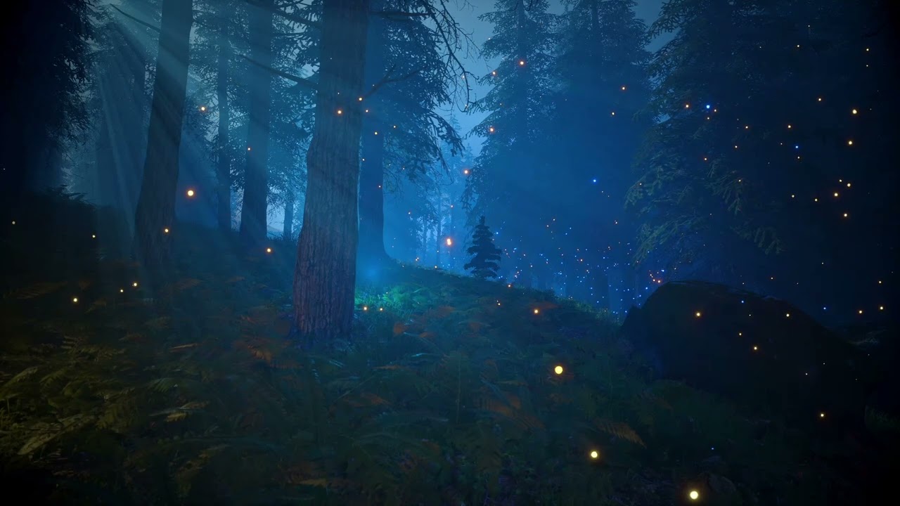 【Forest  Sound　#71　50min　5.1 Surround】夜の森のサラウンド環境音　ambient sounds of the forest at night