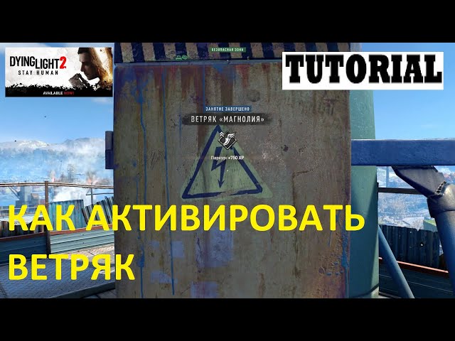 Дайн Лайт 2 Активация