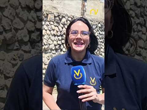 FANB incauta 150 panelas de marihuana en costas del estado Sucre