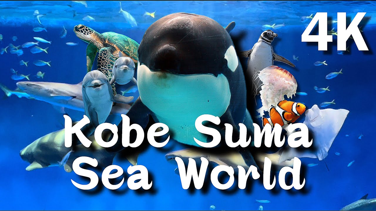 Explore the captivating highlights of Kobe Suma Sea World.