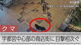 宇都宮市の中心部にクマ？ 商店街を駆け抜ける様子がとらえられる