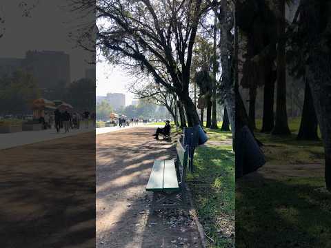 Parque Farroupilha Porto Alegre RS