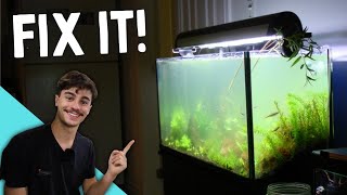 How to Fix Cloudy Water in an Aquarium! (Quick and Easy)