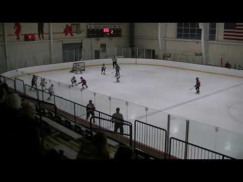 Rockets 12u AA vs St. Louis Blues '07 AAA 02/16/19 1st