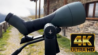 New Swarovski ATX 115mm spotting scope with ollin Apple iPhone 15 pro 