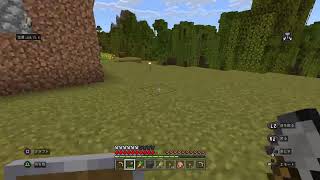初マイクラ