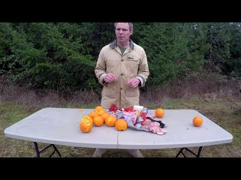 Underwood Xtreme Penetrator Ammo Part 2: Shooting Through Barriers