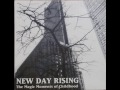 New Day Rising/ Hourglass - split 12" (full album)