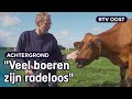 Zelfdodingen onder boeren zetten politici op scherp | RTV Oost