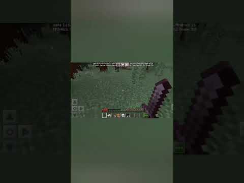 Games we play 30k - Minecraft mob name (hells comin with me #shorts #youtubeshorts