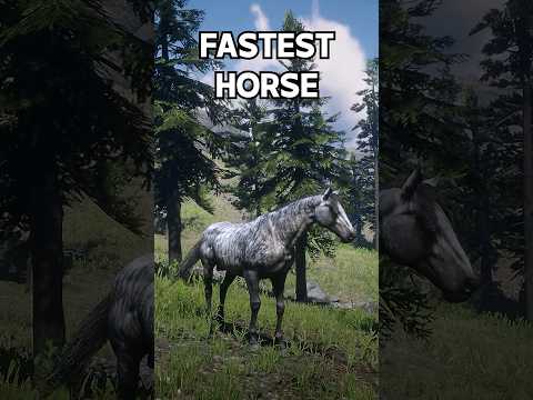 99.9% Doesn't know this! - FASTEST Horse RDR 2 #rdr2 #shorts