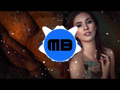 Bounce | WYLEN - I'm WYLEN Bitch!