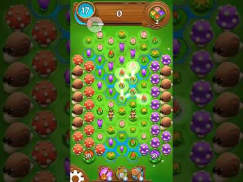 Blossom Blsat Saga 553