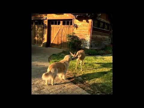 [FREE FOR PROFIT] Glaive x Brakence Hyperpop Type Beat - "starbound"