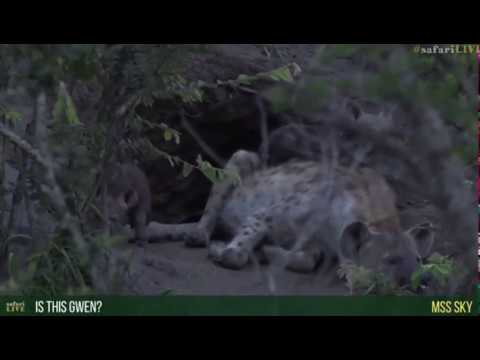 Feb 25, 2017- Ribbon is a girl and she has 2 babies