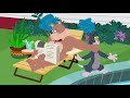 The Tom And Jerry Show Domestic Kingdom Funny Animals Cartoons For Kids