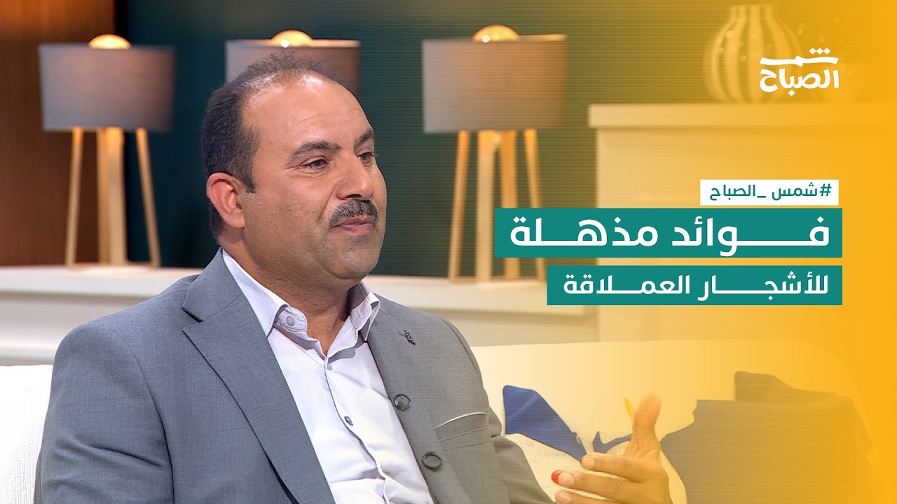 فيديو | أشجار عاشت آلاف السنين.. ما السر وراء صمود الأشجار المعمرة والعملاقة؟