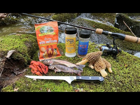 Epic Fishing Adventure - Trout, Crawfish, Morel Mushroom Catch n' Cook!