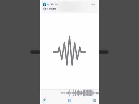 Babybro- [shake it fast]