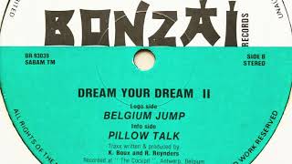 Dream Your Dream • Pillow Talk