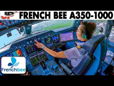 Airbus A350-1000 Cockpit | Indian Ocean to Paris