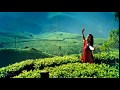 Maina Maina Nenjukulla Vambu Whatsapp Status Tamil