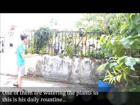 Malaysian Studies : Chinese Village Lifestyle.